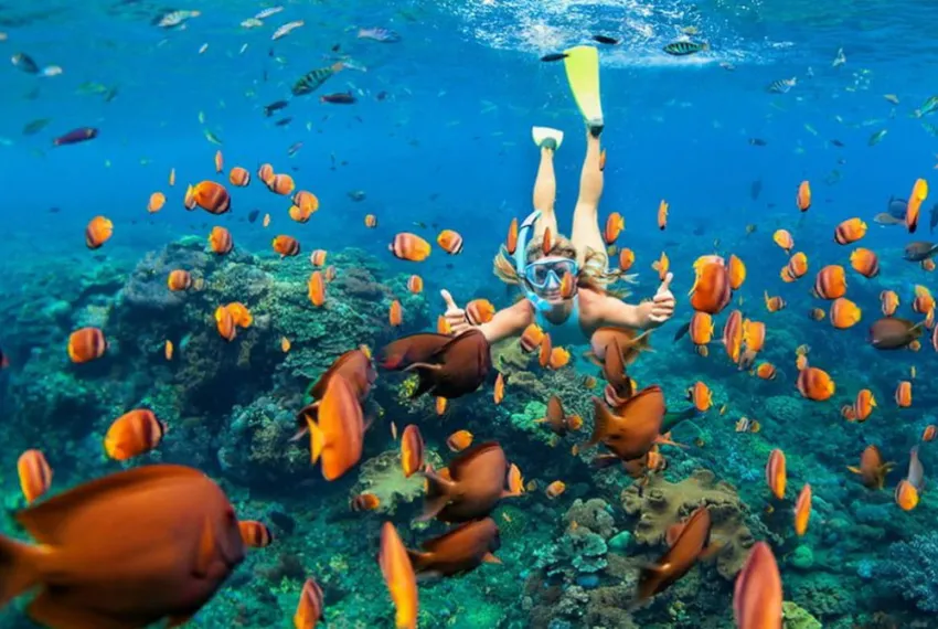 🌊 Дайвинг на Cinnamon Dhonveli Maldives — откройте подводный мир Мальдив
