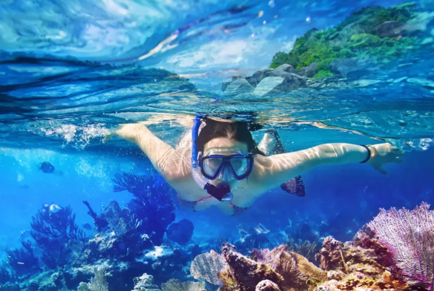 🐠 Snorkel & Relax — снорклинг и отдых на Мальдивах